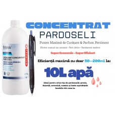 Detergent Concentrat Profesional pentru Pardoseli 1L si Pix Jestream