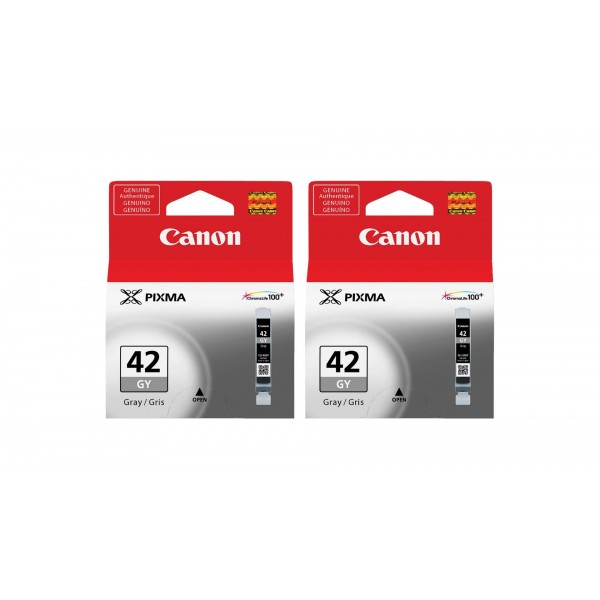 Pachet Cartuse Cerneala Original Canon 2x CLI-42GY Gri 26 ml si pix Schneider