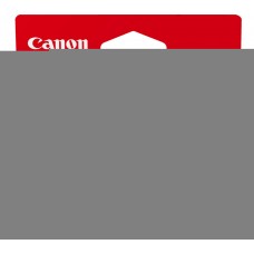 Cartus Cerneala Original Canon PFI-1000B Negru 80 ml
