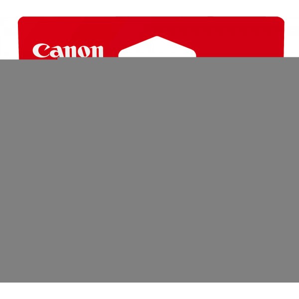 Cartus Cerneala Original Canon PFI-1000B Negru 80 ml