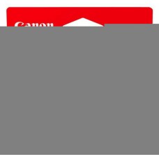 Cartus Cerneala Original Canon PFI-1000R Rosu 80 ml